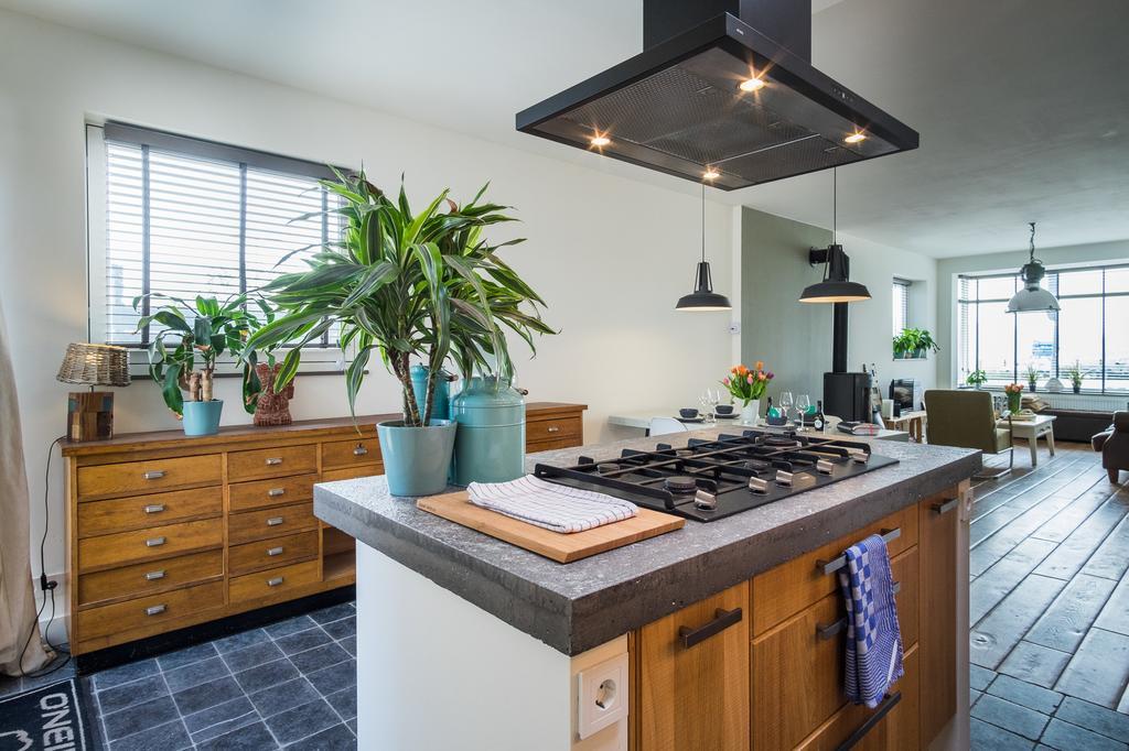 Wijkiki Surf House Διαμέρισμα Wijk aan Zee Εξωτερικό φωτογραφία