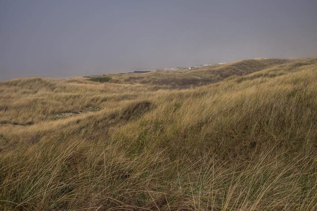Wijkiki Surf House Διαμέρισμα Wijk aan Zee Εξωτερικό φωτογραφία